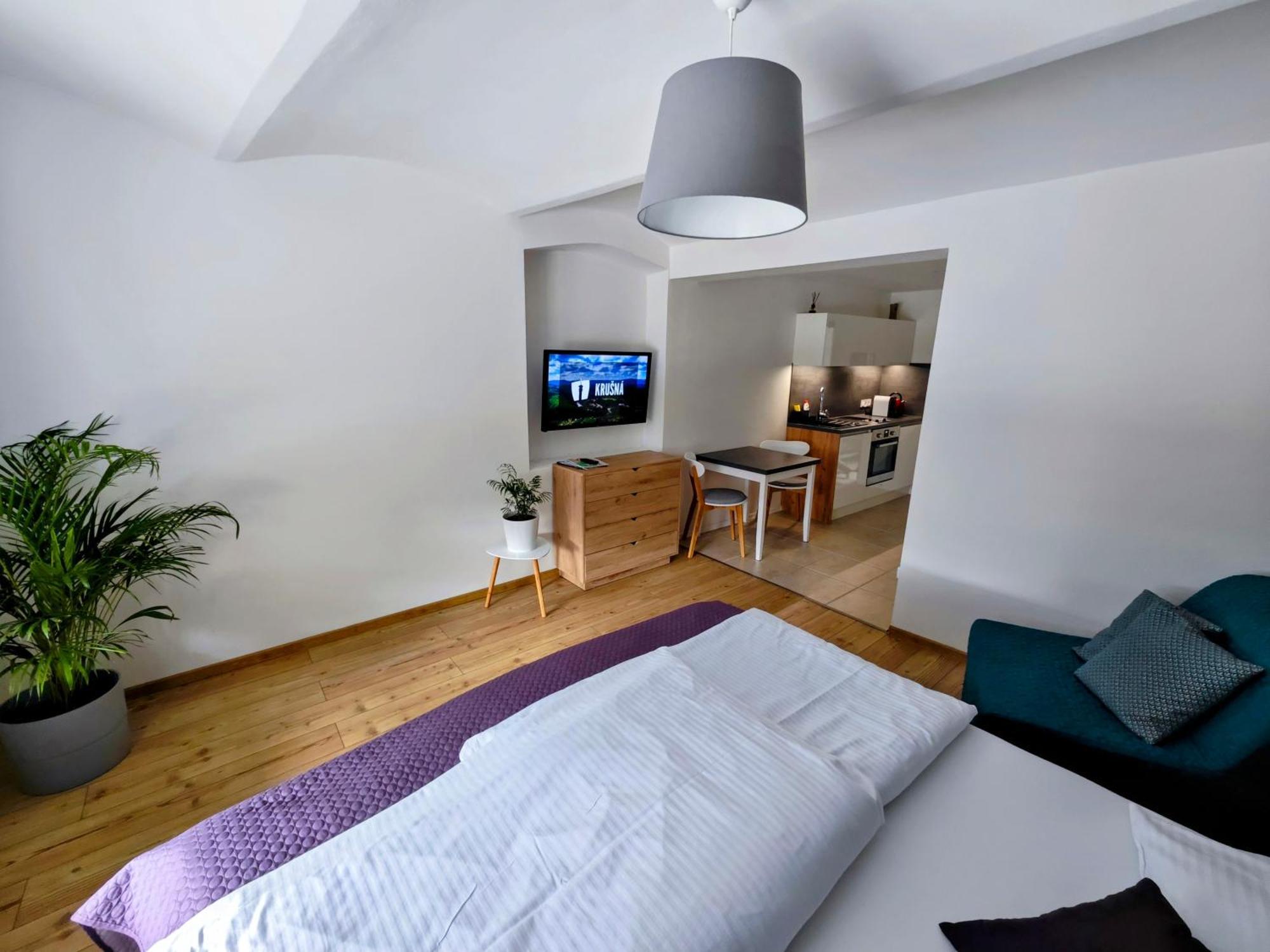 Apartmany 91 Божі-Дар Номер фото